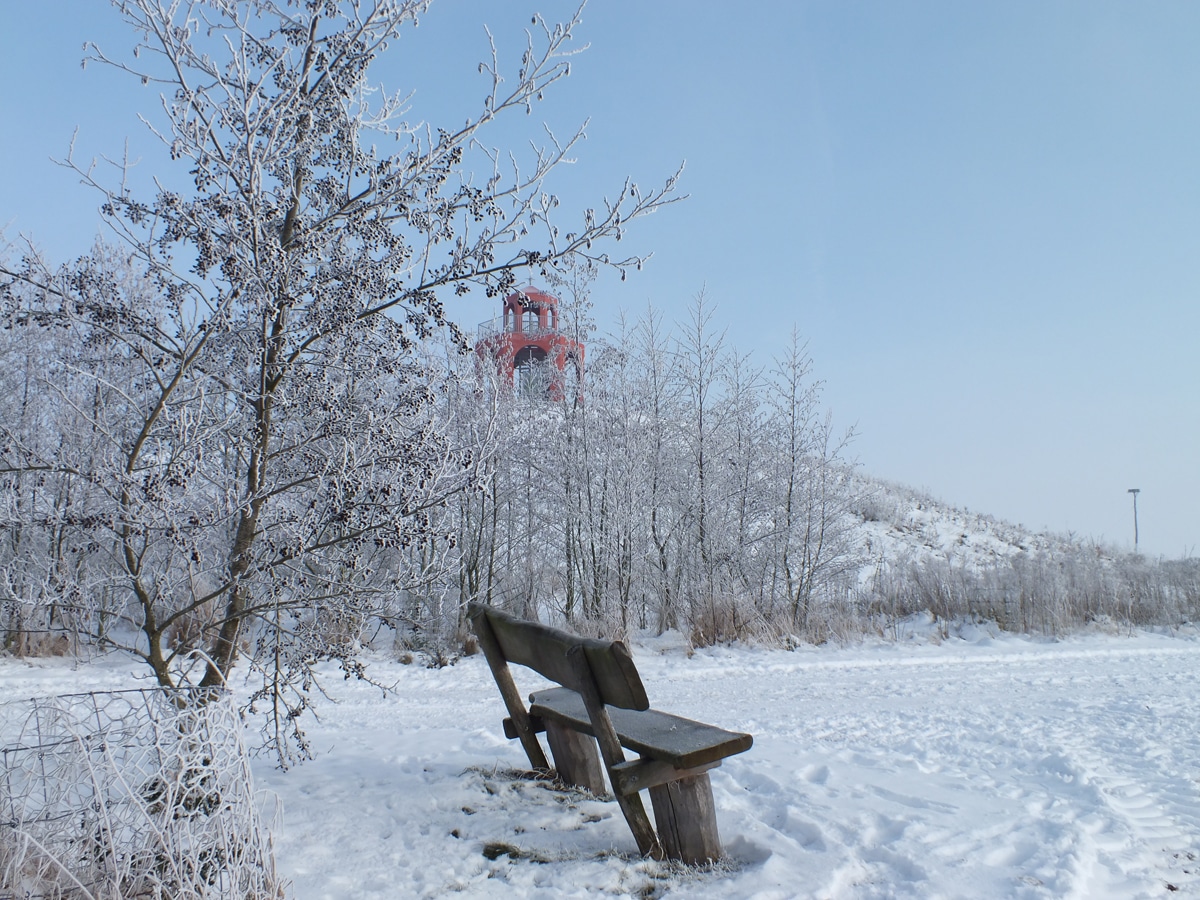 natuurbegraafplaats-reiderwolde-2 Een bankje in een besneeuwd landschap op Natuurbegraafplaats Reiderwolde